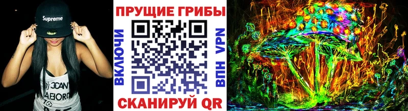 Псилоцибиновые грибы Psilocybine cubensis  цены   ссылка на мегу рабочий сайт  Приозерск 